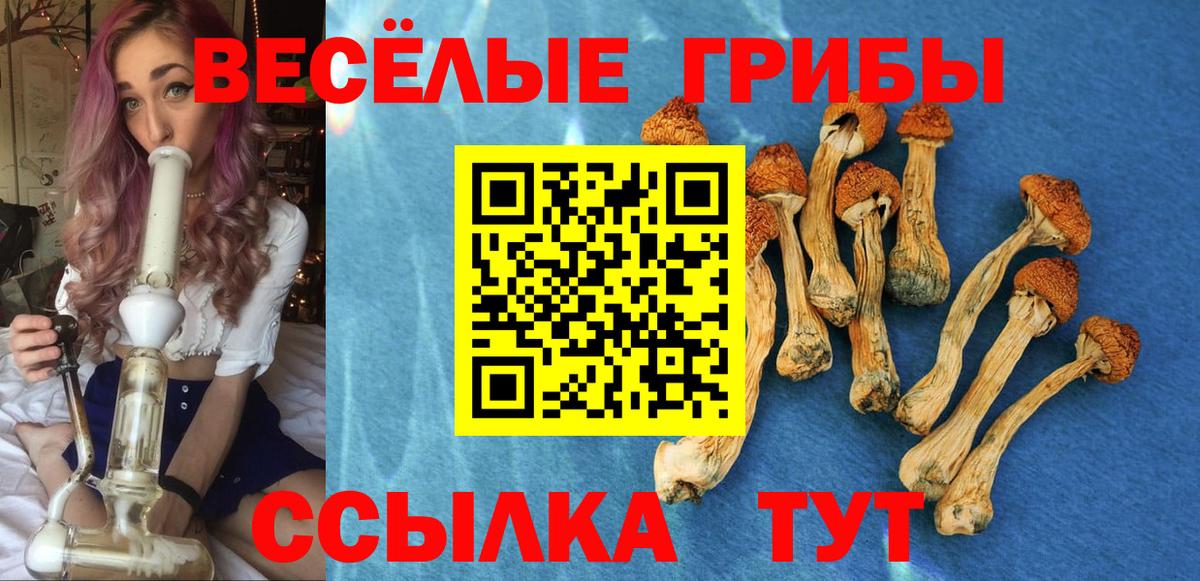 Псилоцибиновые грибы прущие грибы Бердск