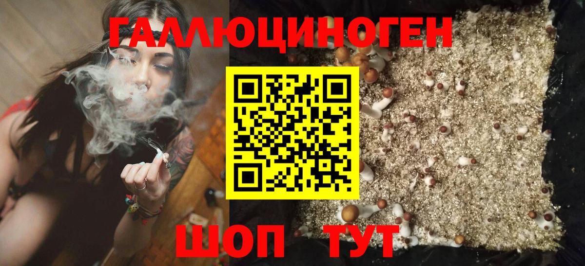 Псилоцибиновые грибы мицелий  Вход с VPN  Галлюциногенные грибы ЛСД  Бердск 
